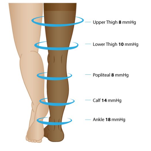 Learn which is right for you?TED vs. Compression Stockings